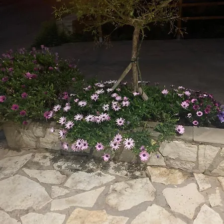 Zoe's Sea View Pylos