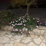 Zoe's Sea View بيلوس