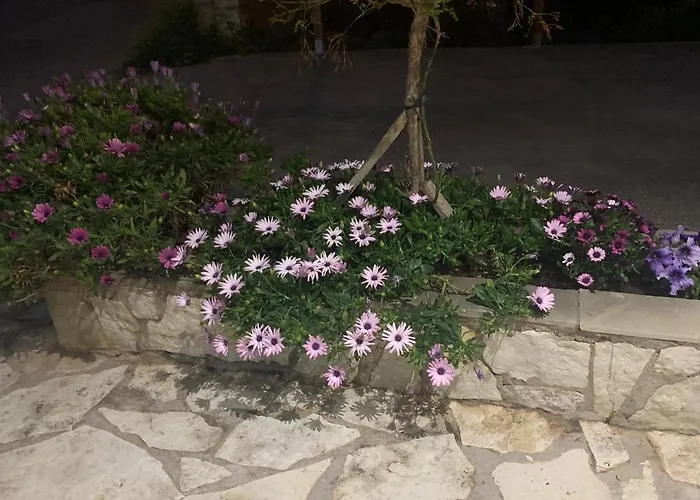 Zoe's Sea View Pylos
